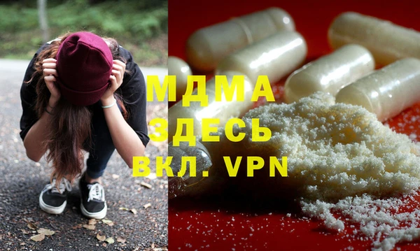 дживик Бородино