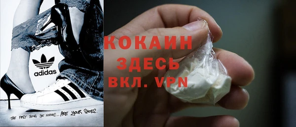 дживик Бородино