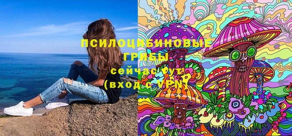 дживик Бородино