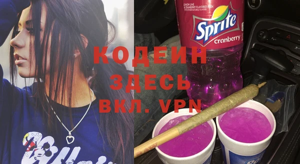 дживик Бородино