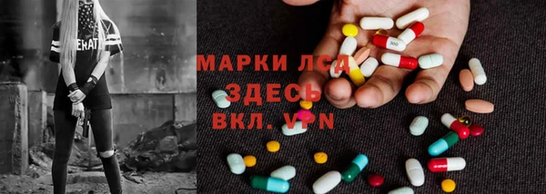 дживик Бородино