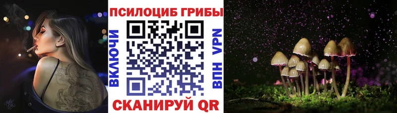 Галлюциногенные грибы Psilocybine cubensis  Купить закладки  Куйбышев 