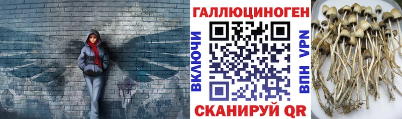 Псилоцибиновые грибы Magic Shrooms Куйбышев
